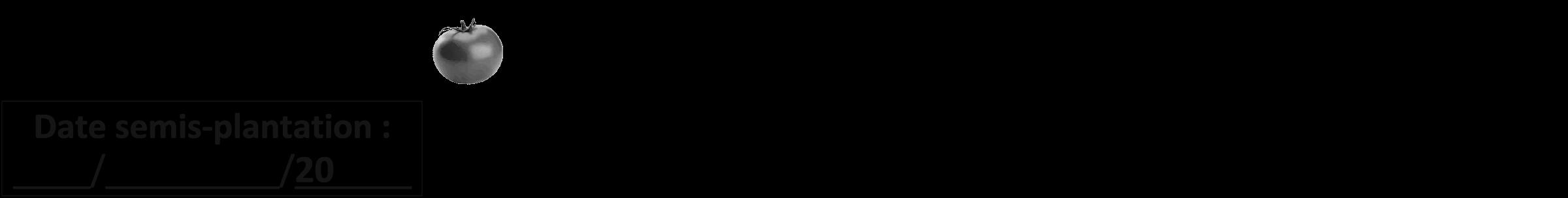 Étiquette de : Physalis latiphysa - format b - style noire59viv avec comestibilité simplifiée