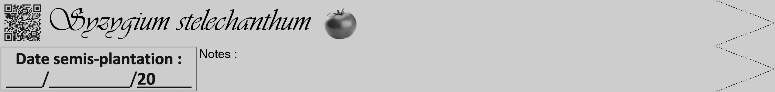 Étiquette de : Syzygium stelechanthum - format b - style noire41viv avec qrcode et comestibilité simplifiée