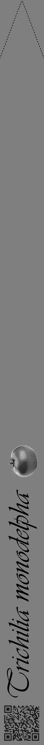 Étiquette de : Trichilia monodelpha - format b - style noire31viv avec qrcode et comestibilité simplifiée - position verticale