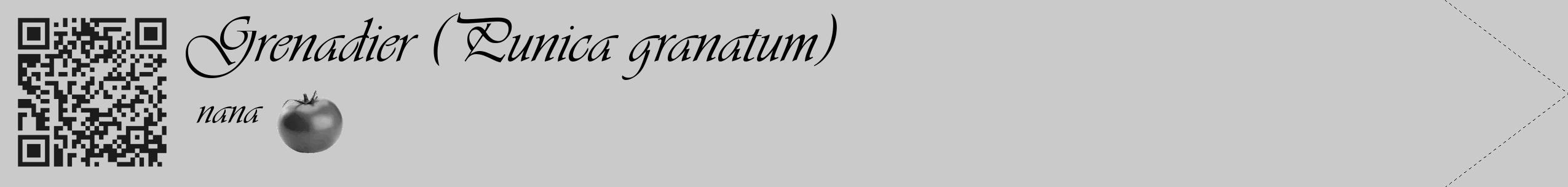 Étiquette de : Punica granatum nana - format c - style noire21simple_basique_basiqueviv avec qrcode et comestibilité simplifiée