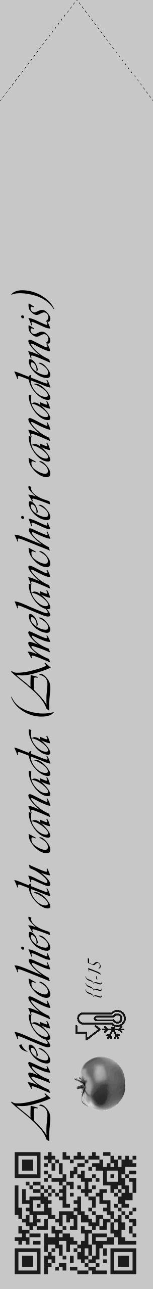 Étiquette de : Amelanchier canadensis - format c - style noire15simple_basique_basiqueviv avec qrcode et comestibilité simplifiée - position verticale