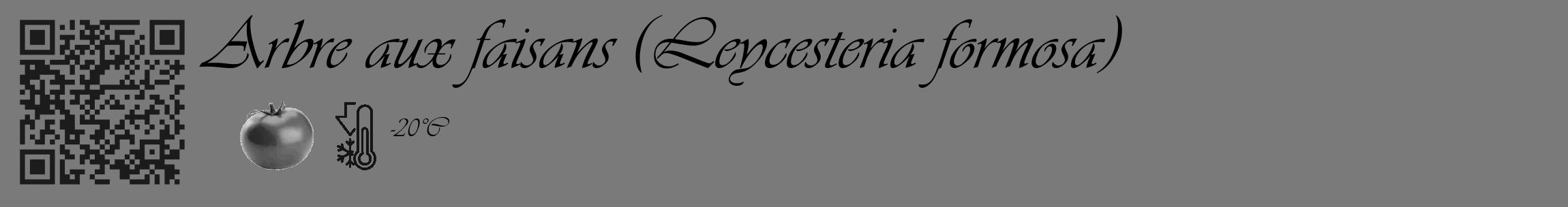 Étiquette de : Leycesteria formosa - format c - style noire3_basique_basiqueviv avec qrcode et comestibilité simplifiée