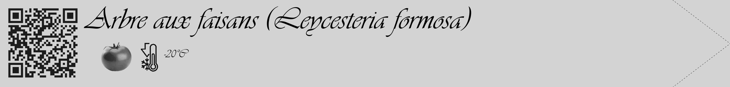 Étiquette de : Leycesteria formosa - format c - style noire56_simple_simpleviv avec qrcode et comestibilité simplifiée
