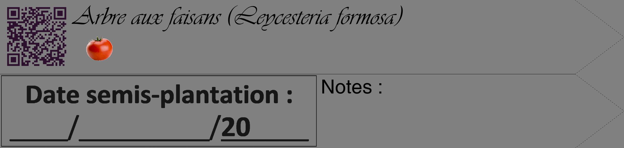 Étiquette de : Leycesteria formosa - format c - style noire57_simple_simpleviv avec qrcode et comestibilité simplifiée