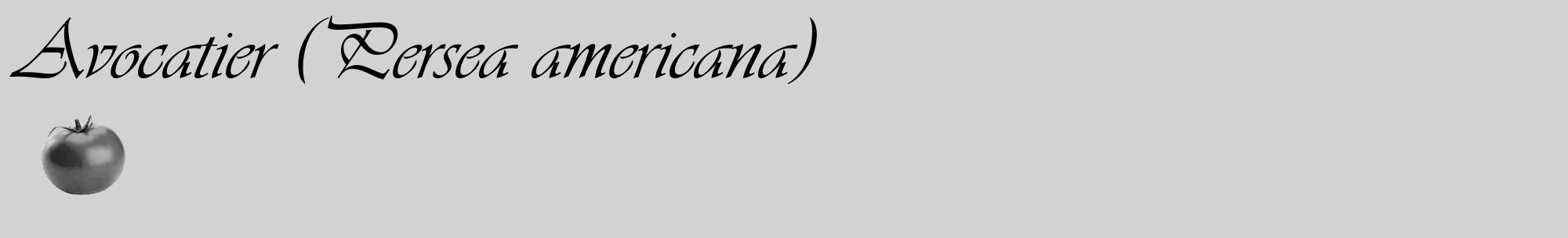 Étiquette de : Persea americana - format c - style noire14_basique_basiqueviv avec comestibilité simplifiée