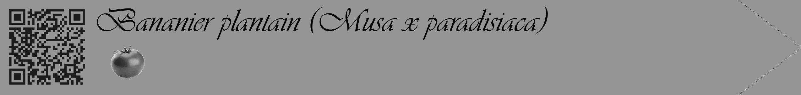 Étiquette de : Musa x paradisiaca - format c - style noire16_simple_simpleviv avec qrcode et comestibilité simplifiée