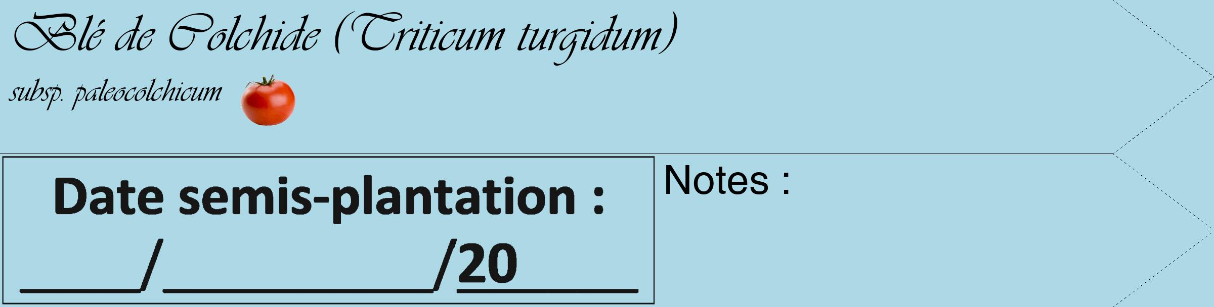 Étiquette de : Triticum turgidum subsp. paleocolchicum - format c - style noire0simple_basique_basiqueviv avec comestibilité simplifiée