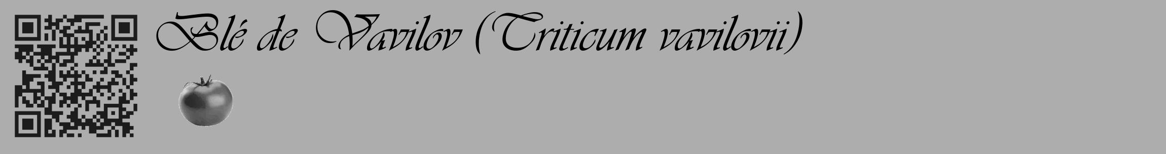 Étiquette de : Triticum vavilovii - format c - style noire22_basique_basiqueviv avec qrcode et comestibilité simplifiée