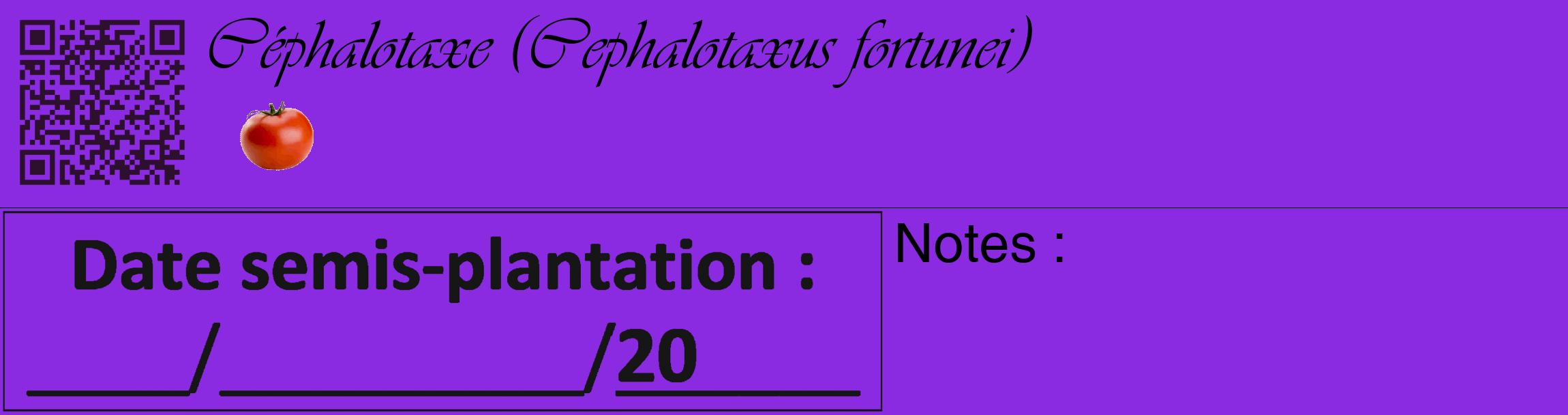Étiquette de : Cephalotaxus fortunei - format c - style noire49_basique_basiqueviv avec qrcode et comestibilité simplifiée