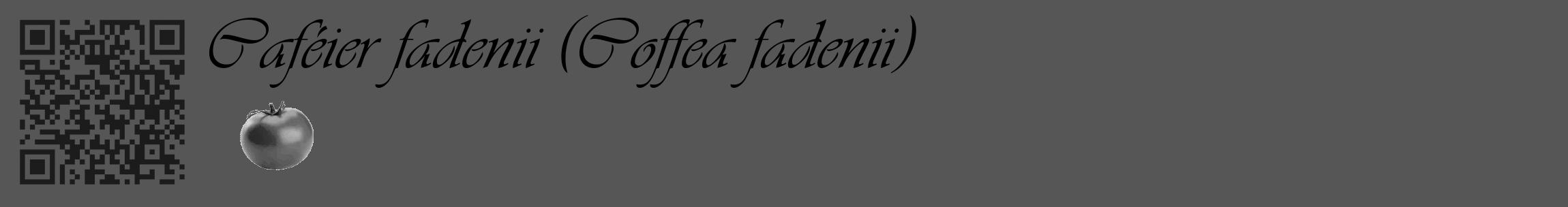 Étiquette de : Coffea fadenii - format c - style noire45_basique_basiqueviv avec qrcode et comestibilité simplifiée