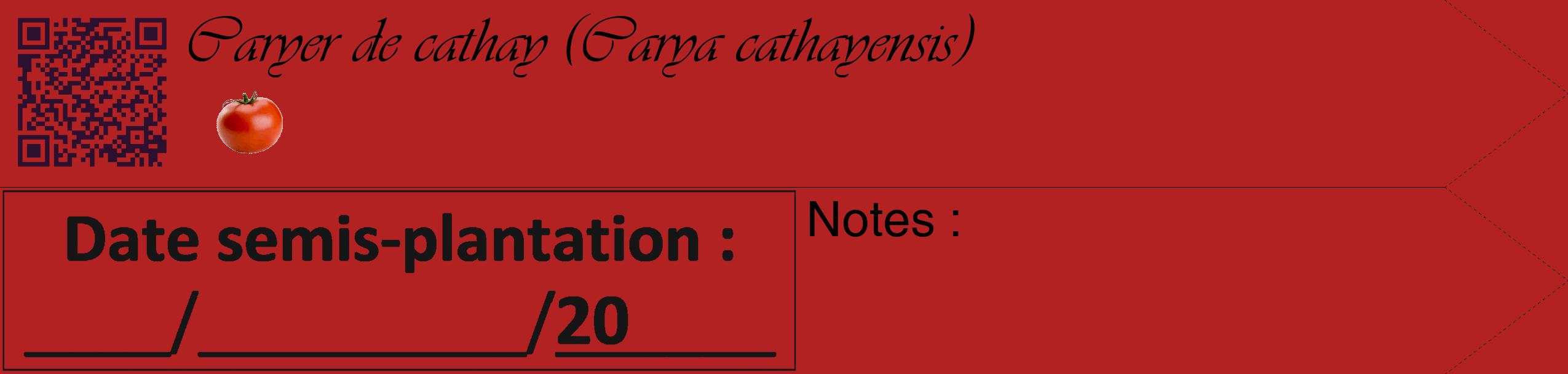Étiquette de : Carya cathayensis - format c - style noire28_simple_simpleviv avec qrcode et comestibilité simplifiée