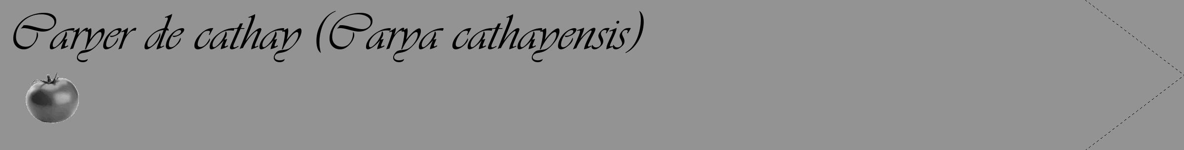 Étiquette de : Carya cathayensis - format c - style noire44_simple_simpleviv avec comestibilité simplifiée
