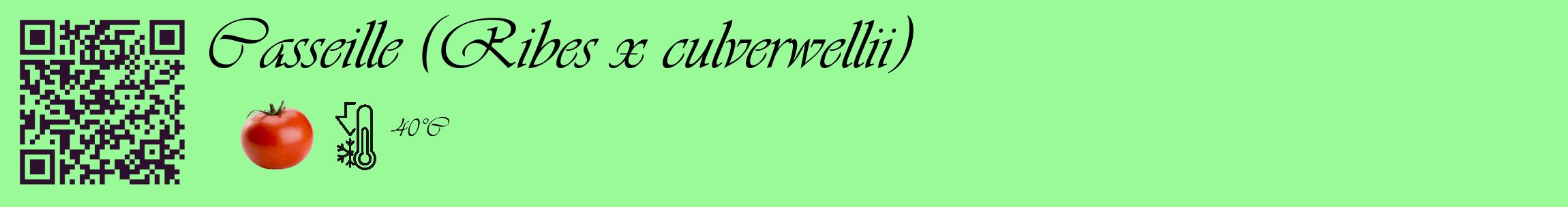 Étiquette de : Ribes x culverwellii - format c - style noire14_basique_basiqueviv avec qrcode et comestibilité simplifiée