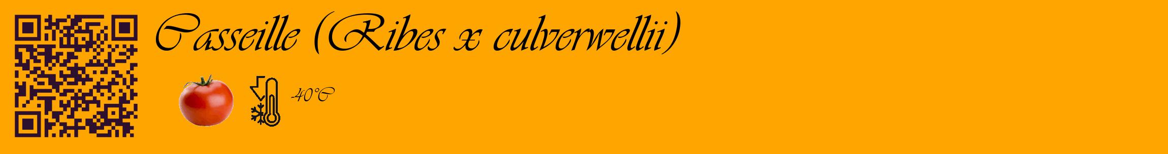 Étiquette de : Ribes x culverwellii - format c - style noire22_basique_basiqueviv avec qrcode et comestibilité simplifiée