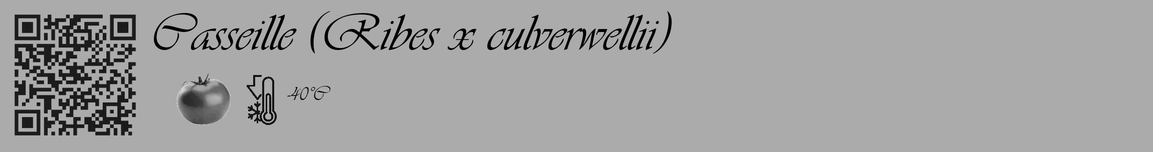Étiquette de : Ribes x culverwellii - format c - style noire37_basique_basiqueviv avec qrcode et comestibilité simplifiée