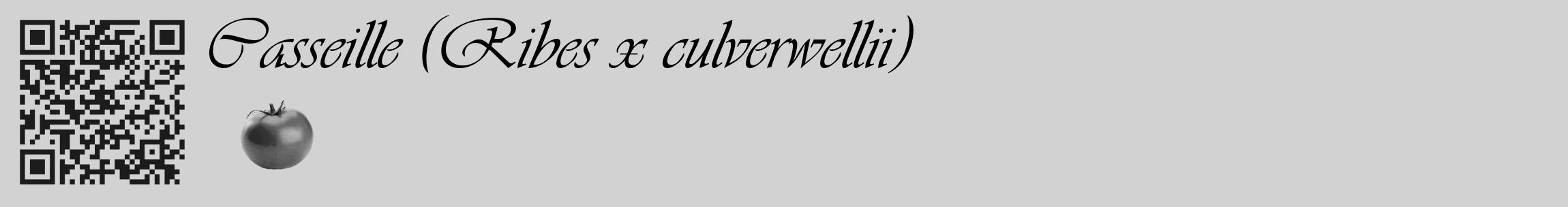 Étiquette de : Ribes x culverwellii - format c - style noire14_basique_basiqueviv avec qrcode et comestibilité simplifiée