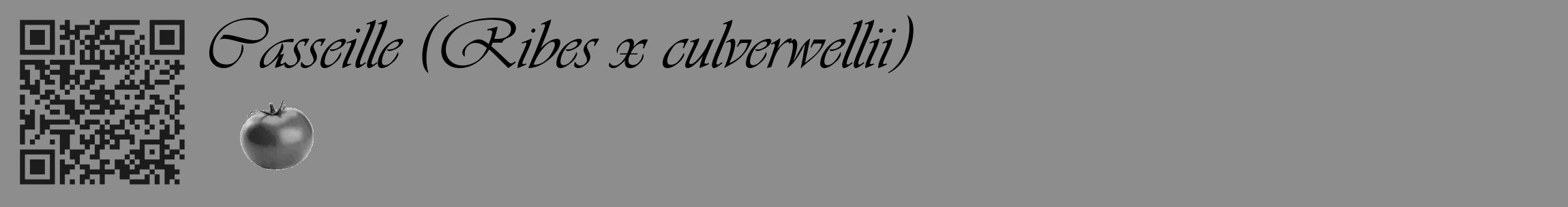 Étiquette de : Ribes x culverwellii - format c - style noire2_basique_basiqueviv avec qrcode et comestibilité simplifiée