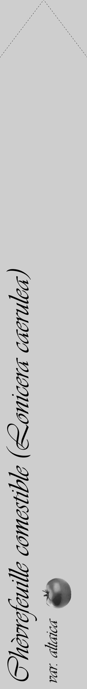 Étiquette de : Lonicera caerulea var. altaica - format c - style noire17_simple_simpleviv avec comestibilité simplifiée - position verticale