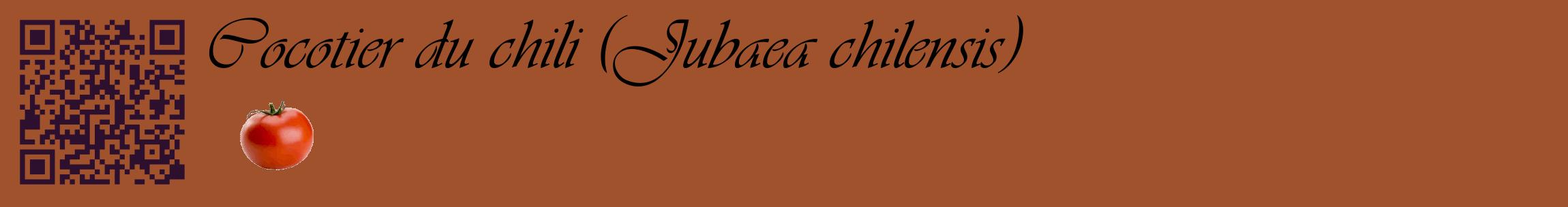 Étiquette de : Jubaea chilensis - format c - style noire32basique_basique_basiqueviv avec qrcode et comestibilité simplifiée