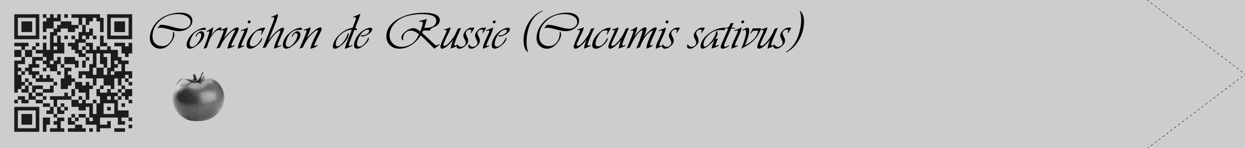 Étiquette de : Cucumis sativus - format c - style noire41simple_basique_basiqueviv avec qrcode et comestibilité simplifiée