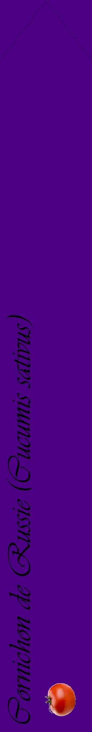 Étiquette de : Cucumis sativus - format c - style noire47_simpleviv avec comestibilité simplifiée