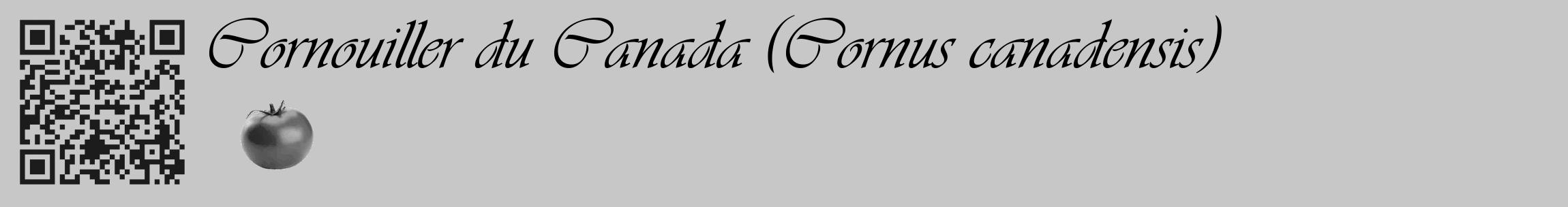 Étiquette de : Cornus canadensis - format c - style noire15_basique_basiqueviv avec qrcode et comestibilité simplifiée