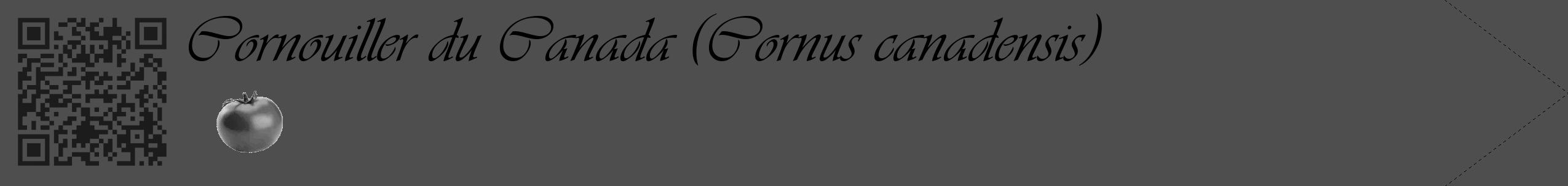 Étiquette de : Cornus canadensis - format c - style noire33_simple_simpleviv avec qrcode et comestibilité simplifiée