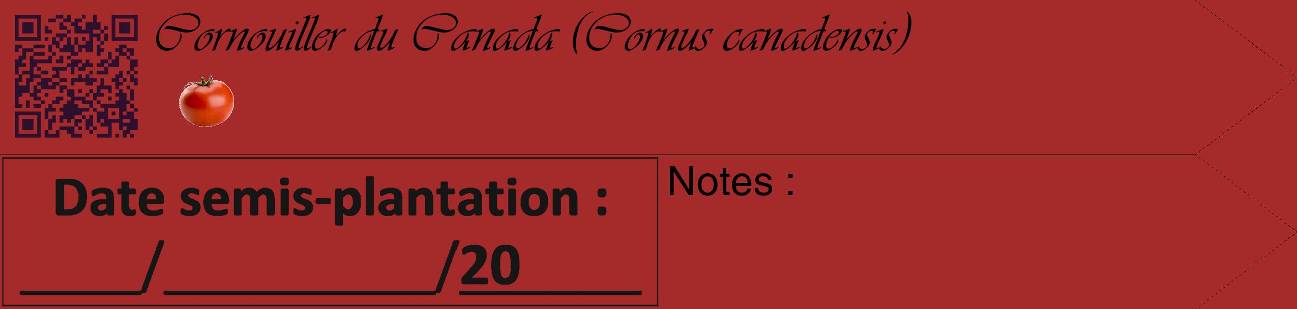Étiquette de : Cornus canadensis - format c - style noire33_simple_simpleviv avec qrcode et comestibilité simplifiée
