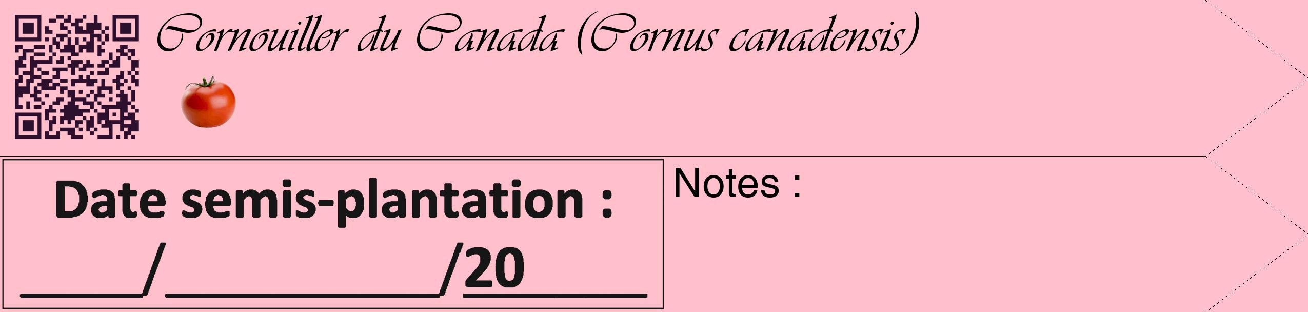 Étiquette de : Cornus canadensis - format c - style noire40_simple_simpleviv avec qrcode et comestibilité simplifiée