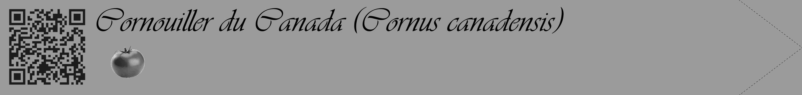 Étiquette de : Cornus canadensis - format c - style noire52_simple_simpleviv avec qrcode et comestibilité simplifiée