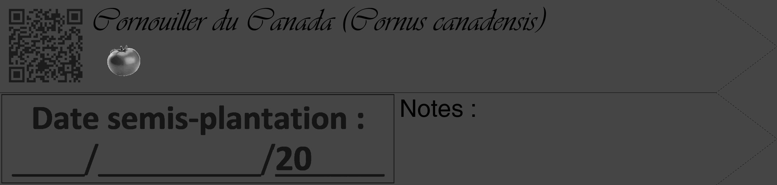 Étiquette de : Cornus canadensis - format c - style noire58_simple_simpleviv avec qrcode et comestibilité simplifiée