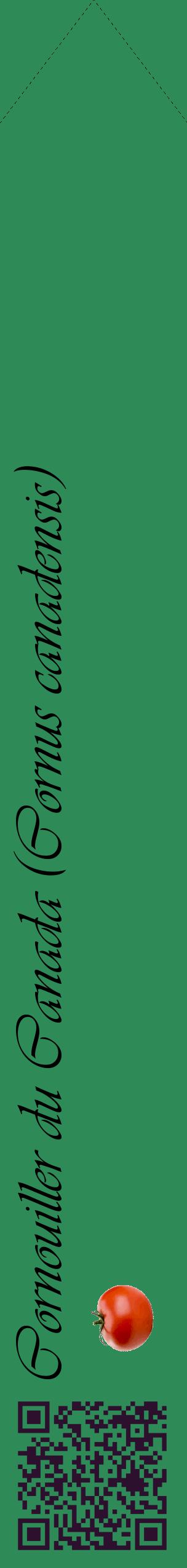 Étiquette de : Cornus canadensis - format c - style noire11_simpleviv avec qrcode et comestibilité simplifiée