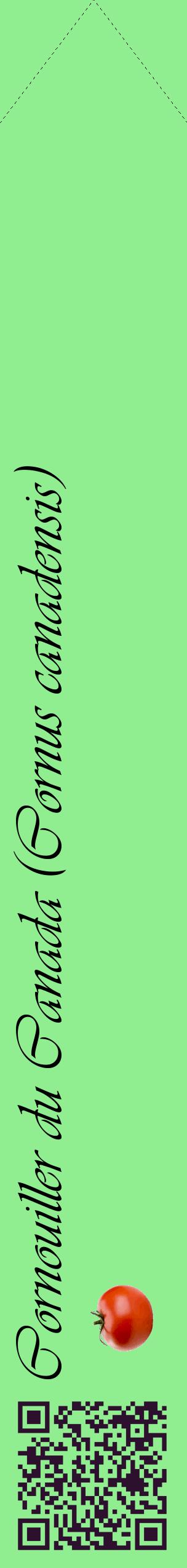 Étiquette de : Cornus canadensis - format c - style noire15_simpleviv avec qrcode et comestibilité simplifiée