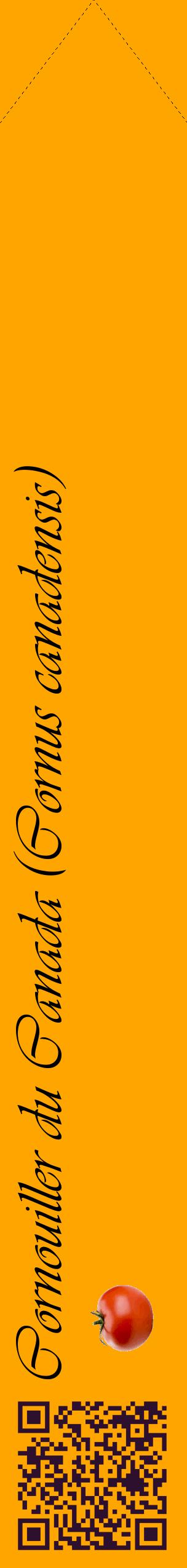 Étiquette de : Cornus canadensis - format c - style noire22_simpleviv avec qrcode et comestibilité simplifiée