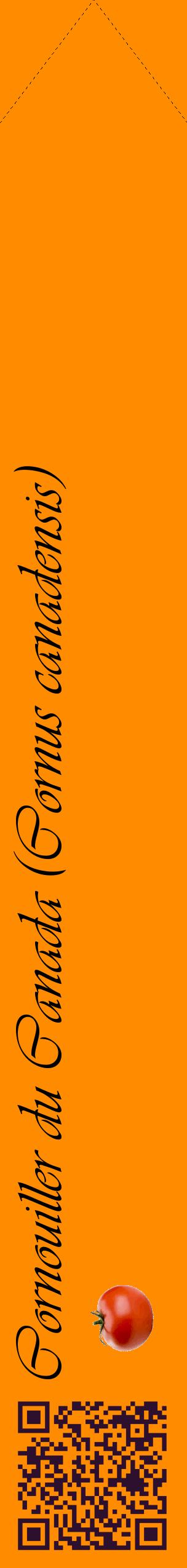 Étiquette de : Cornus canadensis - format c - style noire23_simpleviv avec qrcode et comestibilité simplifiée