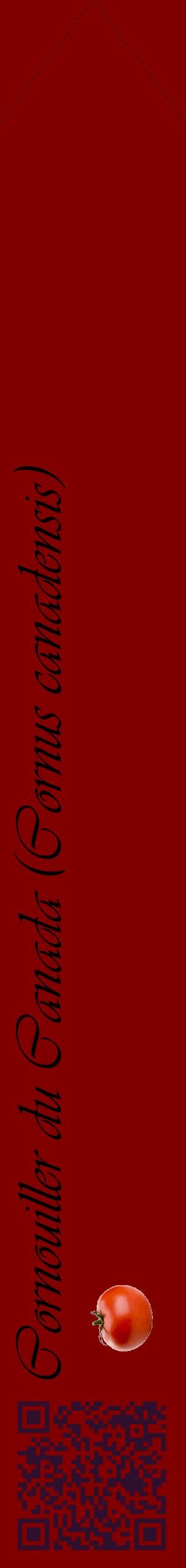 Étiquette de : Cornus canadensis - format c - style noire29_simpleviv avec qrcode et comestibilité simplifiée