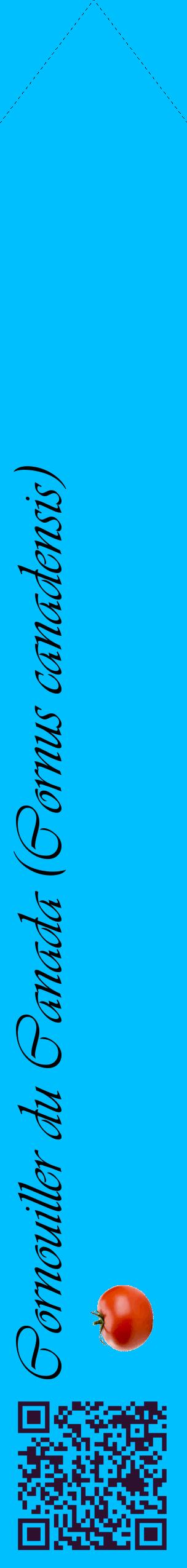 Étiquette de : Cornus canadensis - format c - style noire2_simpleviv avec qrcode et comestibilité simplifiée