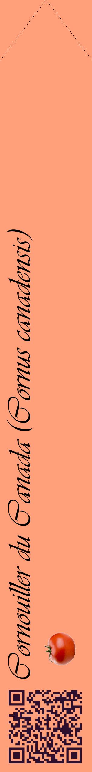 Étiquette de : Cornus canadensis - format c - style noire39_simpleviv avec qrcode et comestibilité simplifiée