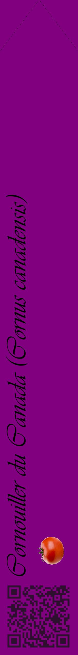 Étiquette de : Cornus canadensis - format c - style noire46_simpleviv avec qrcode et comestibilité simplifiée