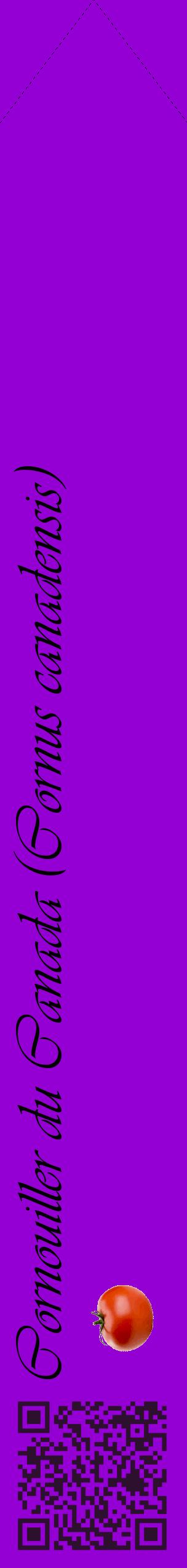 Étiquette de : Cornus canadensis - format c - style noire48_simpleviv avec qrcode et comestibilité simplifiée