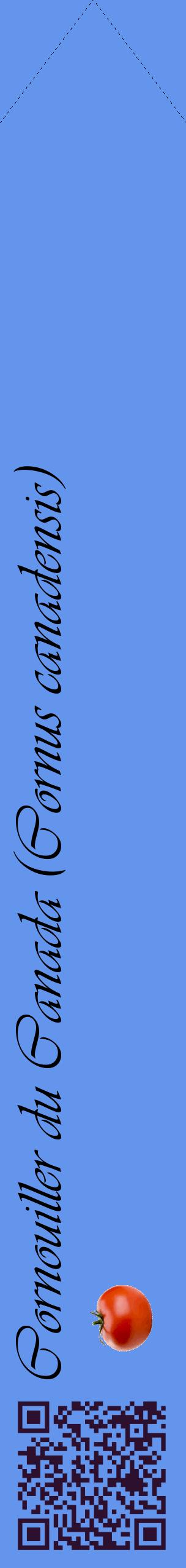 Étiquette de : Cornus canadensis - format c - style noire4_simpleviv avec qrcode et comestibilité simplifiée