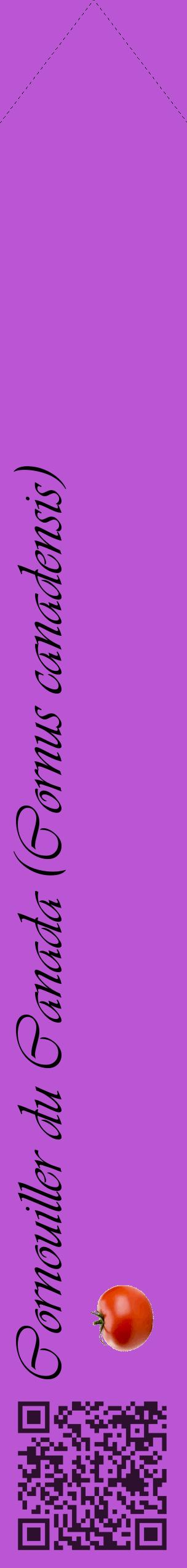 Étiquette de : Cornus canadensis - format c - style noire50_simpleviv avec qrcode et comestibilité simplifiée