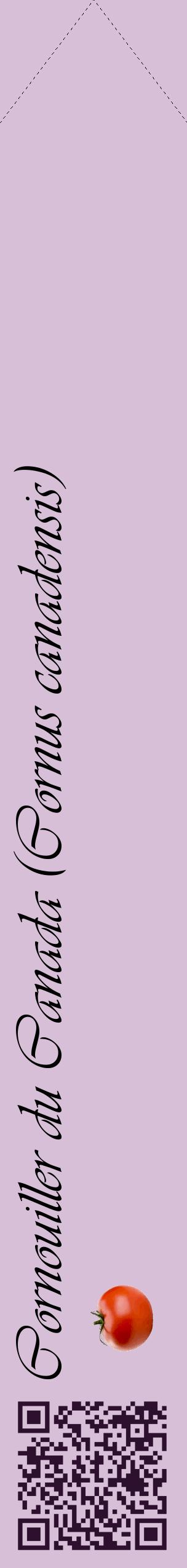 Étiquette de : Cornus canadensis - format c - style noire54_simpleviv avec qrcode et comestibilité simplifiée