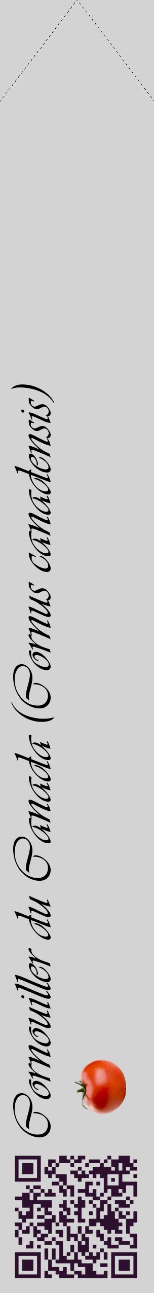 Étiquette de : Cornus canadensis - format c - style noire56_simpleviv avec qrcode et comestibilité simplifiée