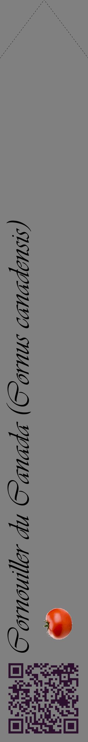 Étiquette de : Cornus canadensis - format c - style noire57_simpleviv avec qrcode et comestibilité simplifiée