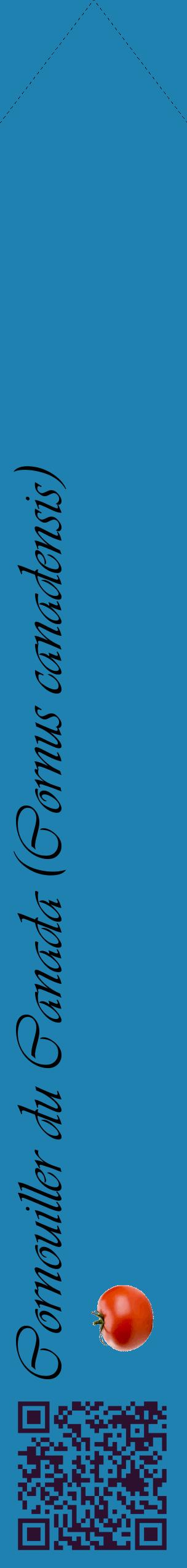 Étiquette de : Cornus canadensis - format c - style noire6_simpleviv avec qrcode et comestibilité simplifiée
