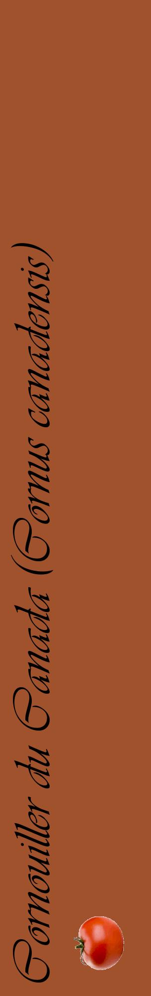 Étiquette de : Cornus canadensis - format c - style noire32_basiqueviv avec comestibilité simplifiée
