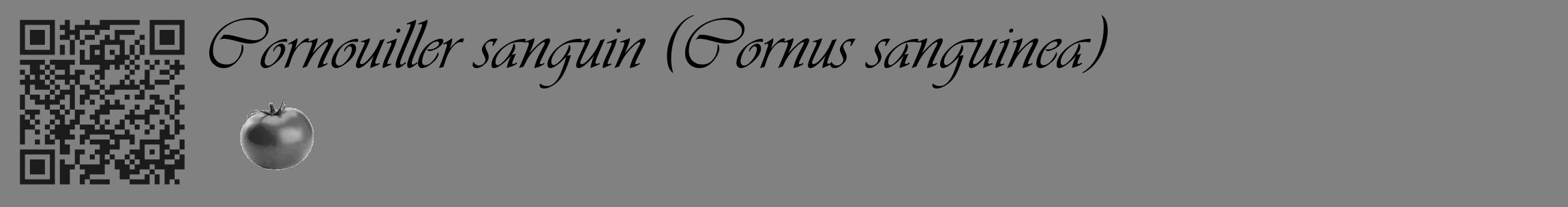 Étiquette de : Cornus sanguinea - format c - style noire50_basique_basiqueviv avec qrcode et comestibilité simplifiée