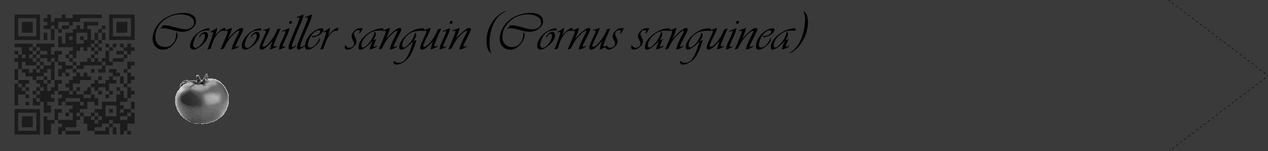 Étiquette de : Cornus sanguinea - format c - style noire8_simple_simpleviv avec qrcode et comestibilité simplifiée