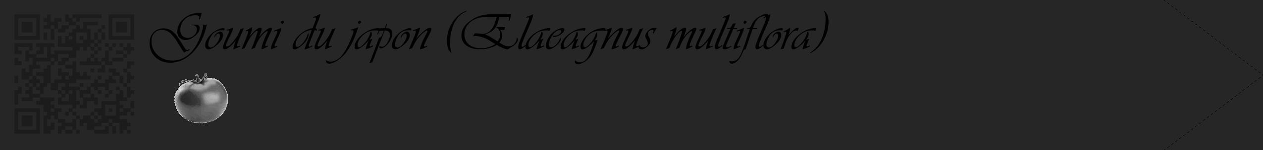 Étiquette de : Elaeagnus multiflora - format c - style noire29_simple_simpleviv avec qrcode et comestibilité simplifiée